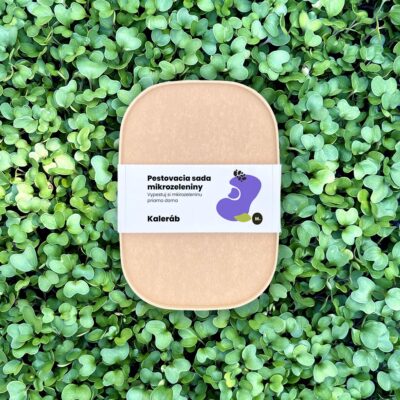 Pestovací set – Mikro kaleráb | Domáca mikrozelenina plná vitamínov
